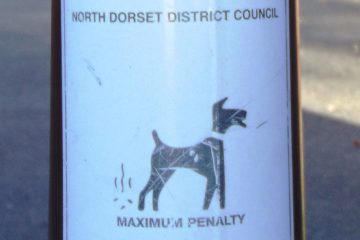 dog leads Gillingham